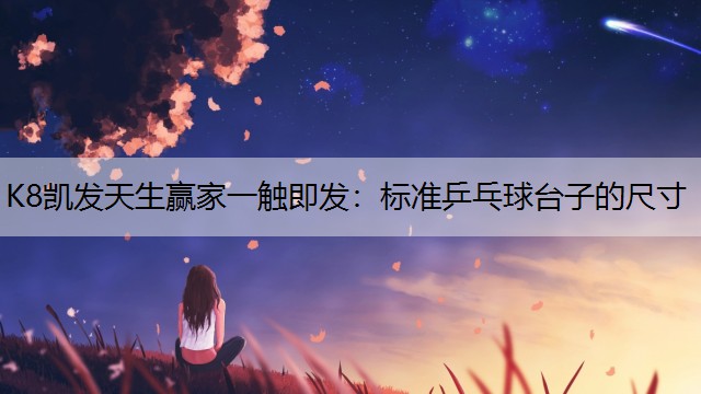 标准乒乓球台子的尺寸